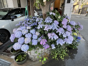 FF00D07E-3115-4F54-B5BA-F83C1E7B8170