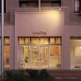 LuLu animal clinicの施工写真